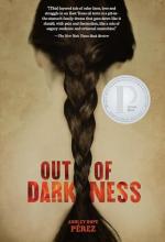 Cover image of Out of Darkness by Ashley Hope Perez, featuring the back of a person's head with a long braid of dark brown hair